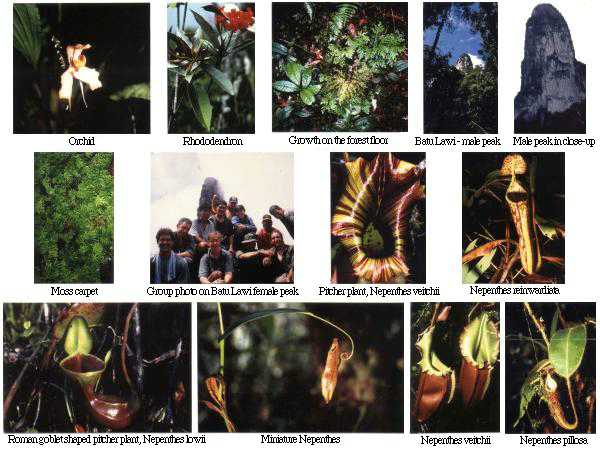 Photographs 15-27