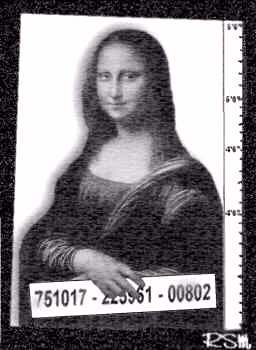 Slammer Mona Lisa