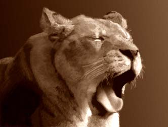 Painted Sepia Lion