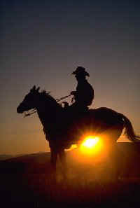 Remember the cameo days of the Cowboy? The good guys always wore white hats...the bad guys wore black.