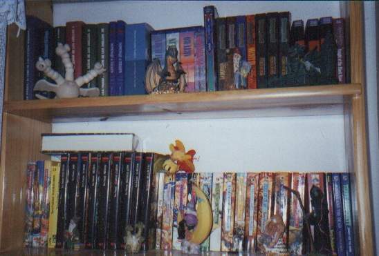 en la foto, parte de mi colección de libros de terry pratchett