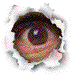 Animated Peephole