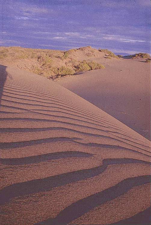 Dunas