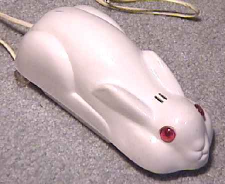 bunny