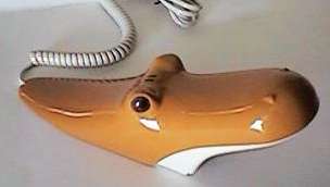 Hippo