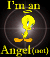 angel.gif (10368 bytes)