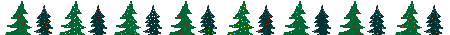 Christmas Trees Line