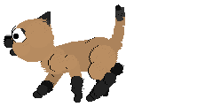 cat_banner.gif (17849 bytes)