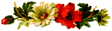 Jesus, the Bouquet of my Life