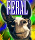 /user/ferallinksm.jpg
