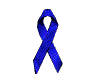 Blue Ribbon Campaign for Free Speech On The Internet