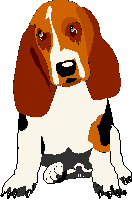 Basset