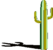 Cacti