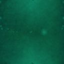 tealhaze
