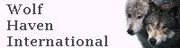 banner.gif (3845 bytes)