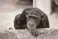{Cute little guy ain't he?}