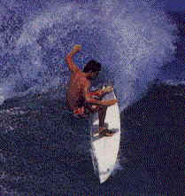 surf.jpg (6589 bytes)
