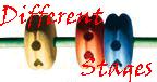 -==Different Stages==-