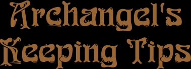 Archangel's Keeping Tips