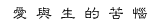 ai.gif (814 bytes)