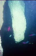 blue hole photo 3