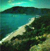 SHORELINE PHOTO