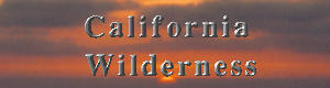 The California Wilderness