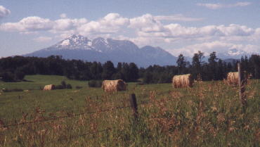 Mountain east of Houston