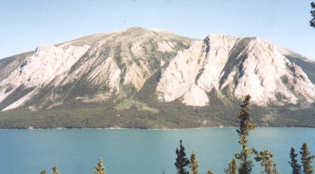 Montana Mt. near Carcross