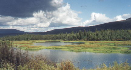 Mayo River