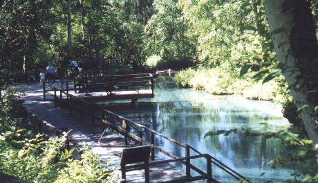 Liard Hot Springs