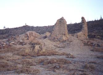 Ruins of Mission San Fernando