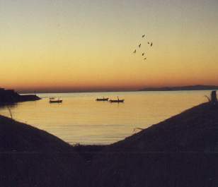 Sunrise in early moning at Puetecitos