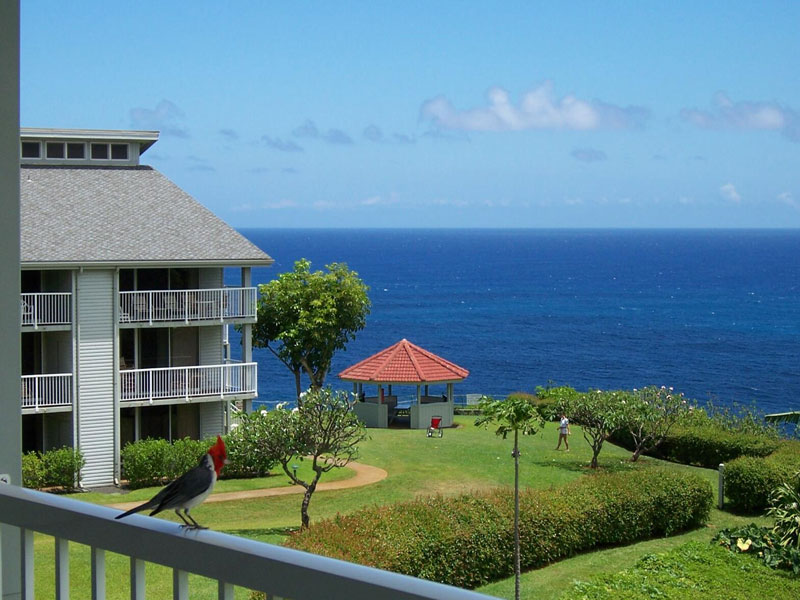 View from Kauai Condo with Golf--Vacation Rental