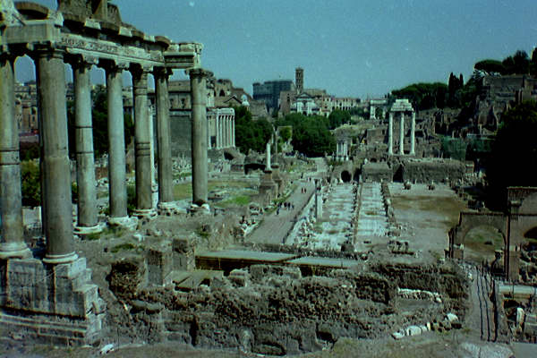 The Forum