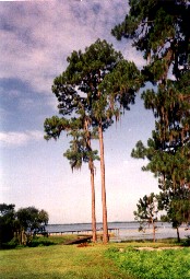 Lake Weir-Photo by Anne