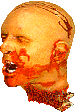 ANIsevHead.gif (19090 bytes)