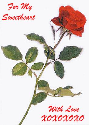 Single red rose #1