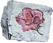 Stone rose #10