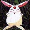 My Pet