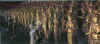 pm_24_1430.jpg (72464 byte)