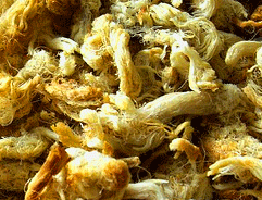 Image of a Pork Floss