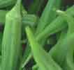 Photo of Bitter Gourd and Okra