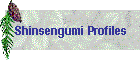 Shinsengumi Profiles