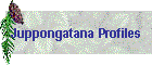 Juppongatana Profiles