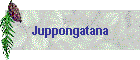 Juppongatana