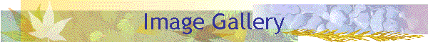 Image Gallery