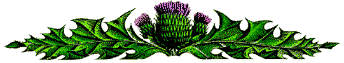 thistle.gif (7222 bytes)