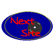 Web Ring - Next                                                                                                                                                                  Next site