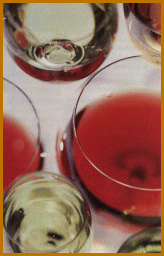 Wine Glasses